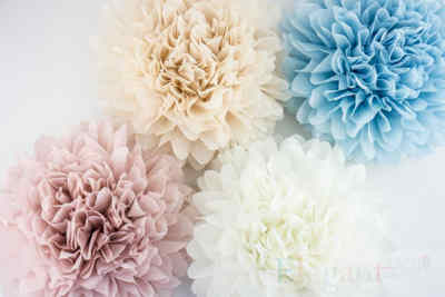 Pompoms Instruction Step By Step